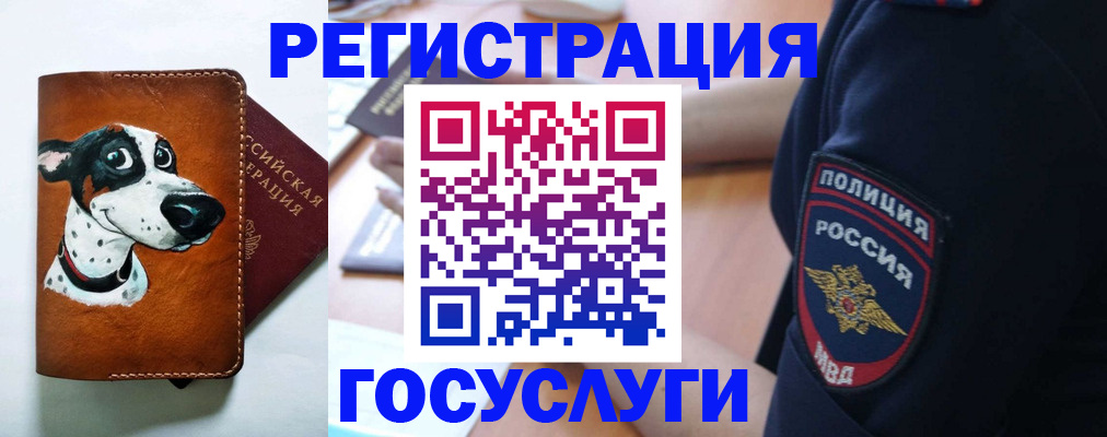 временная регистрация в квартире в Щучье